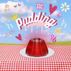 Cover of Pudding