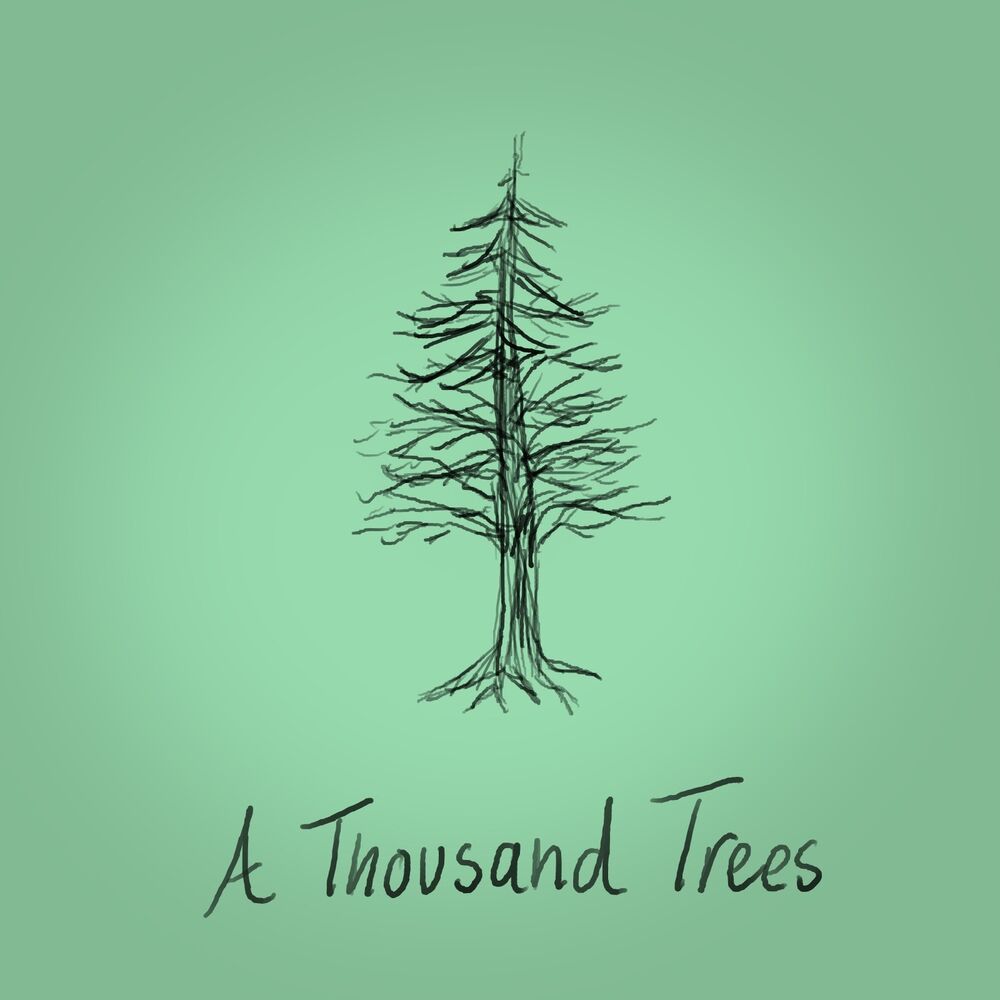Picture of A Thousand Trees