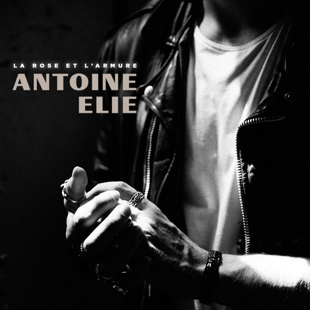 Picture of La rose et l'armure (Radio Edit)