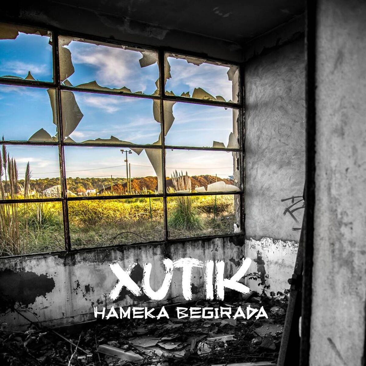 Album cover of Hameka begirada
