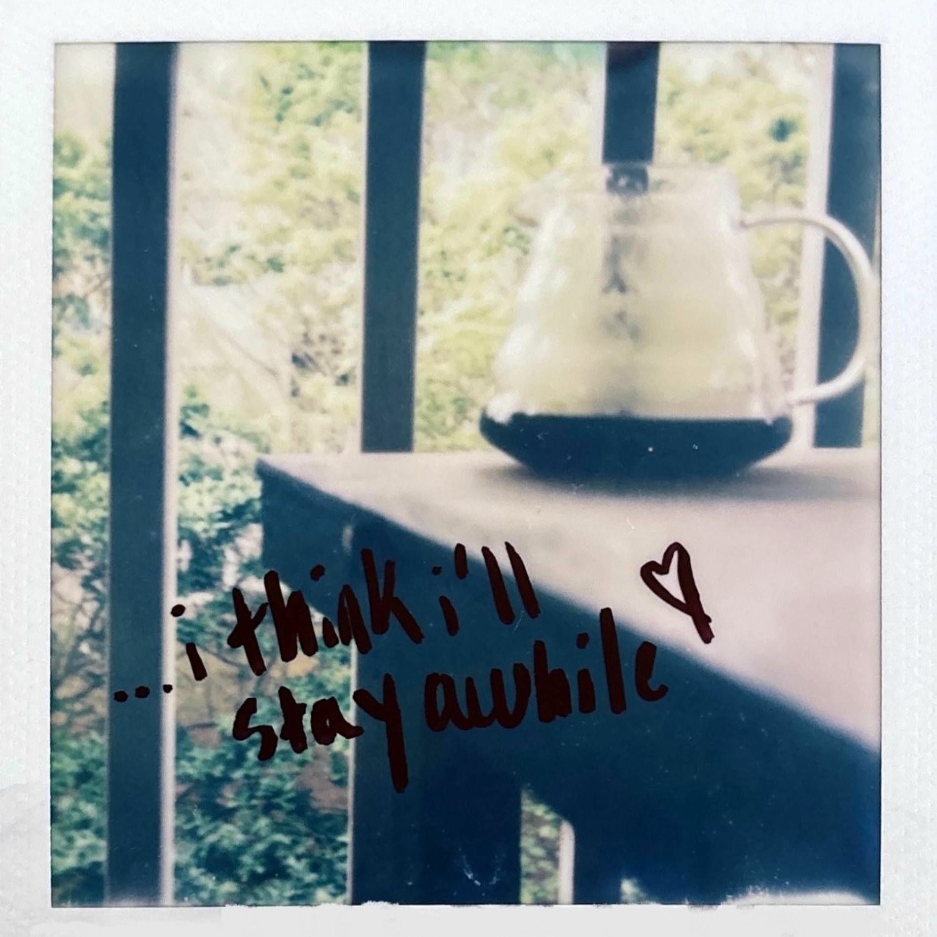 Album cover of porch nights (feat. Bianca)