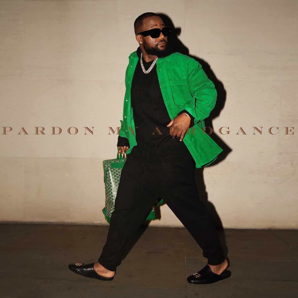 Album cover of Pardon My Arrogance