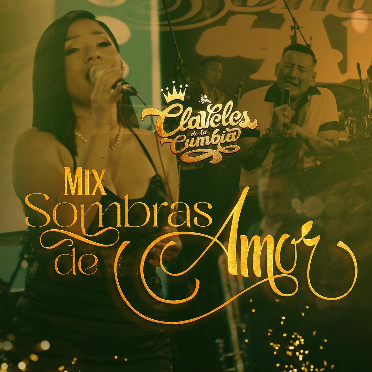 Album cover of Mix Sombras De Amor: Enamorado De Ti / Amo Sin Fronteras / Volvamos A Empezar