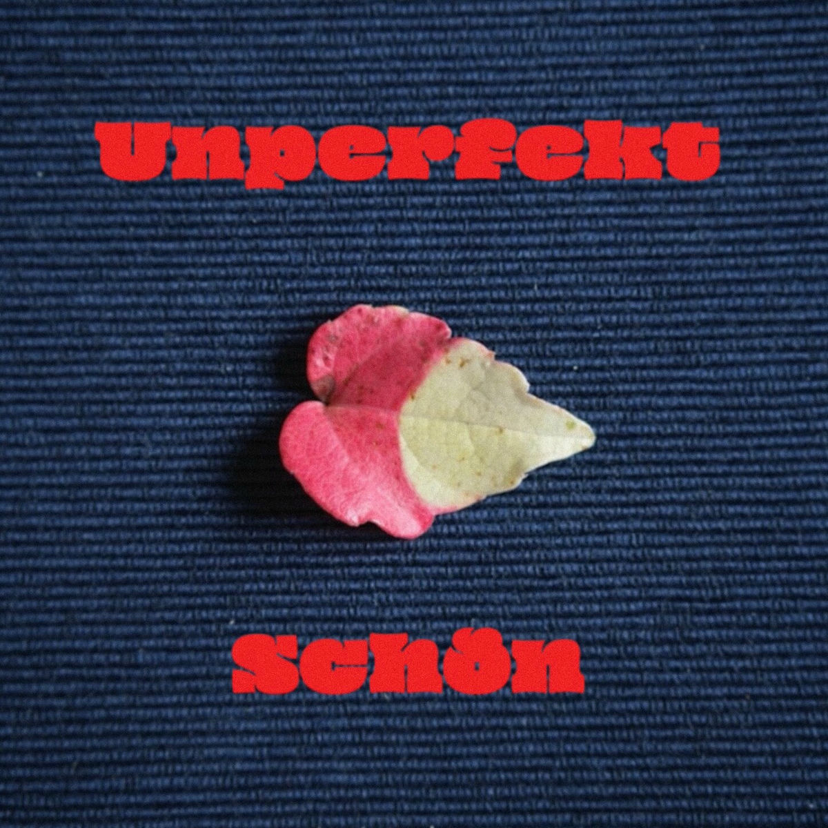 Album cover of Unperfekt Schön