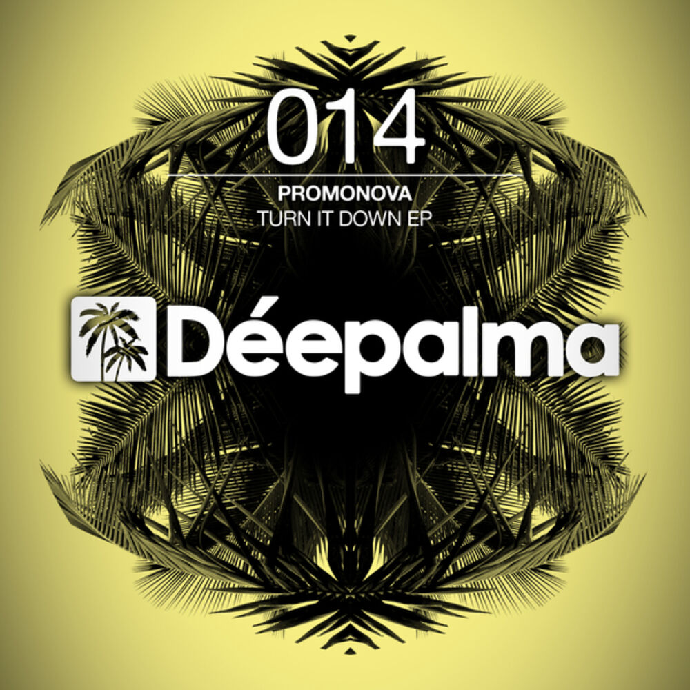 Picture of Turn It Down Ep