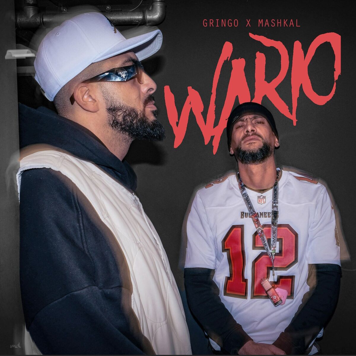 Album cover of Wario