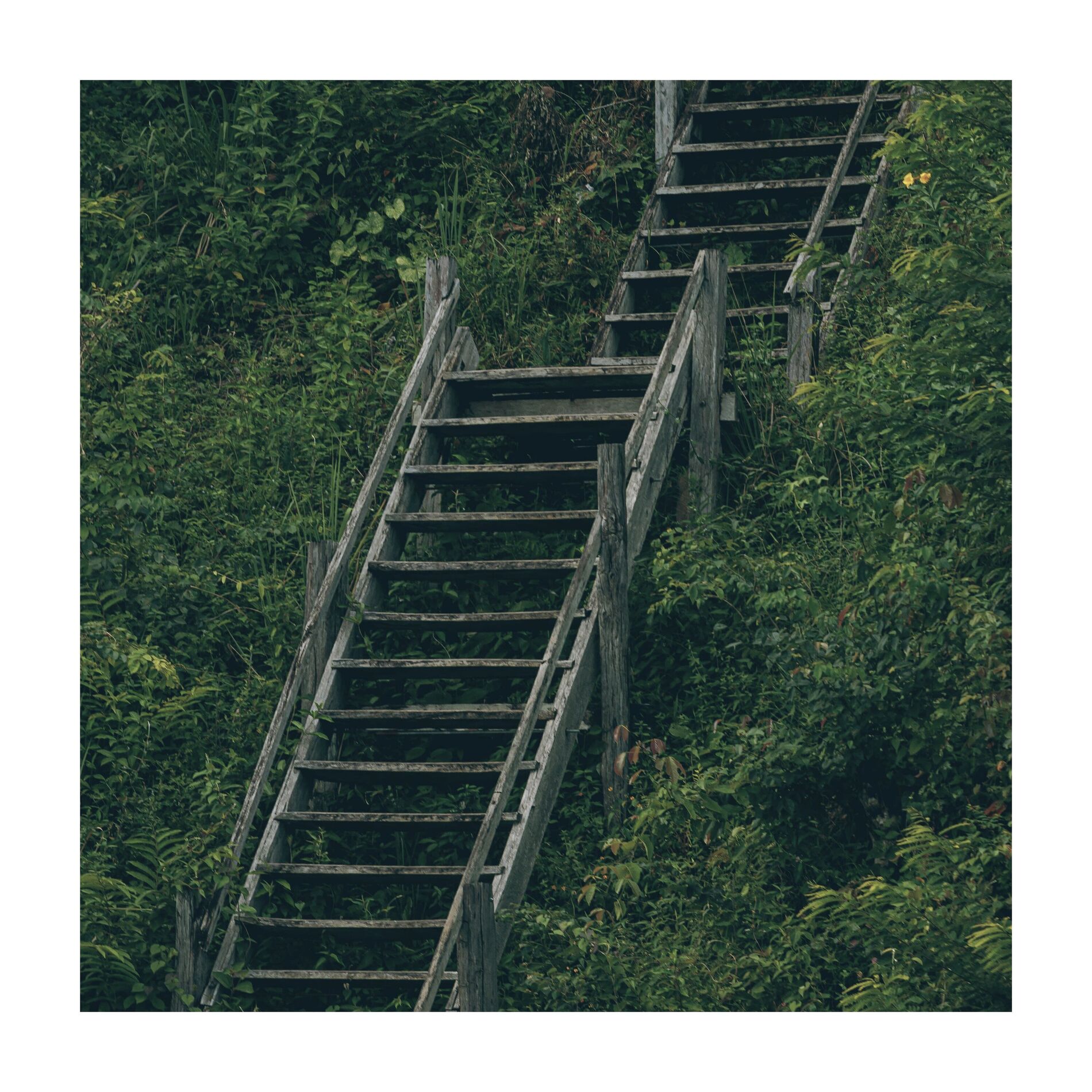 Album cover of Vá Com Deus