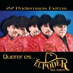 Cover of Querer Es...