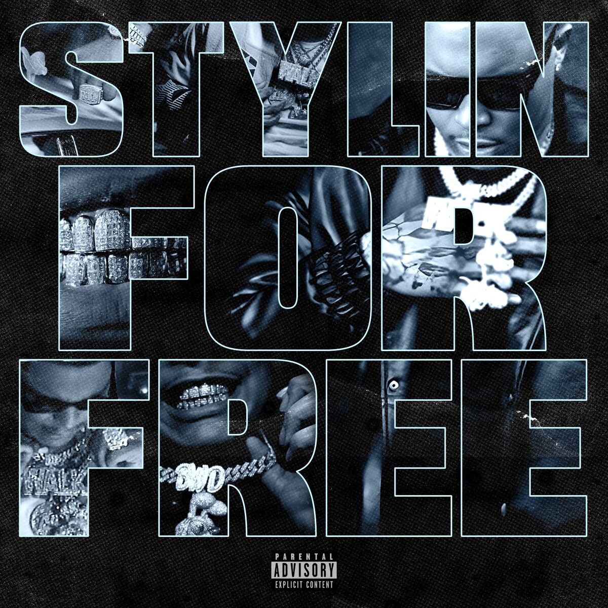 Album cover of Stylin for Free