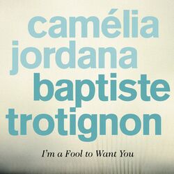 Cover of I'm a Fool to Want You