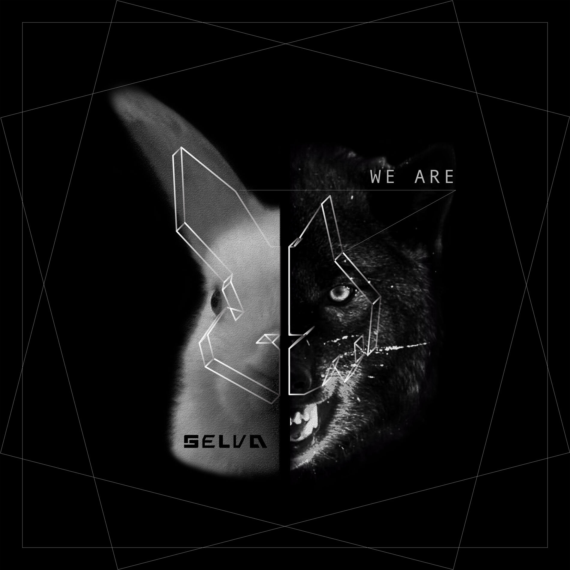 Album cover of We Are