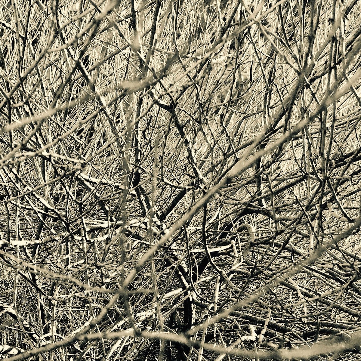 Album cover of All Rivers