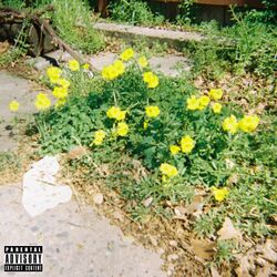 Cover of Sunday Morning