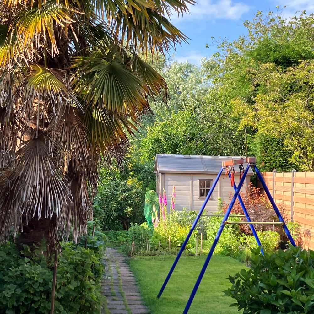 Picture of Backyard Birds (feat. Sounds of Mother Earth)