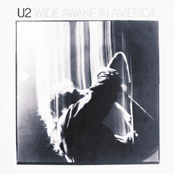 Cover of Wide Awake In America