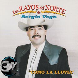 Cover of Como La Lluvia