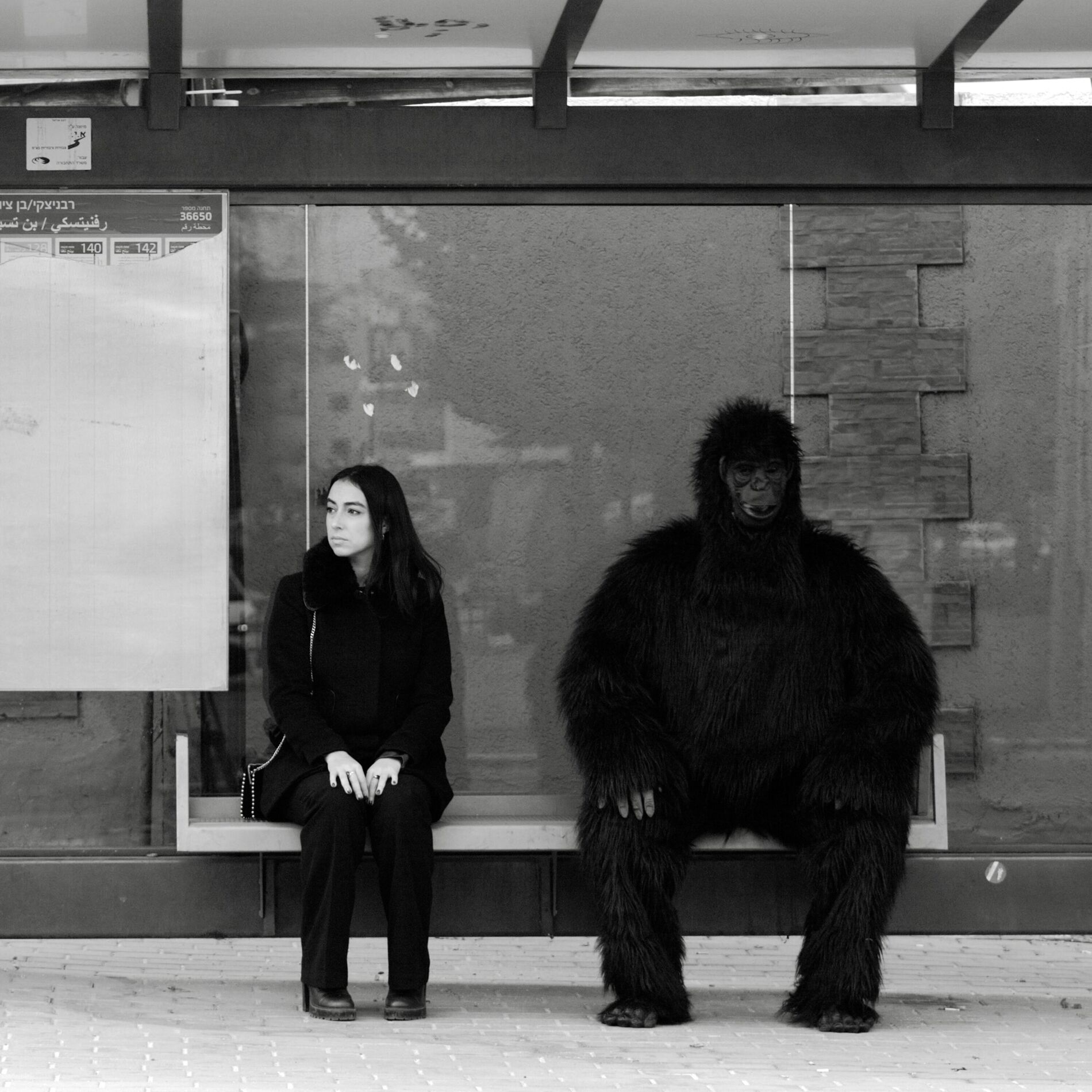 Album cover of King Kong