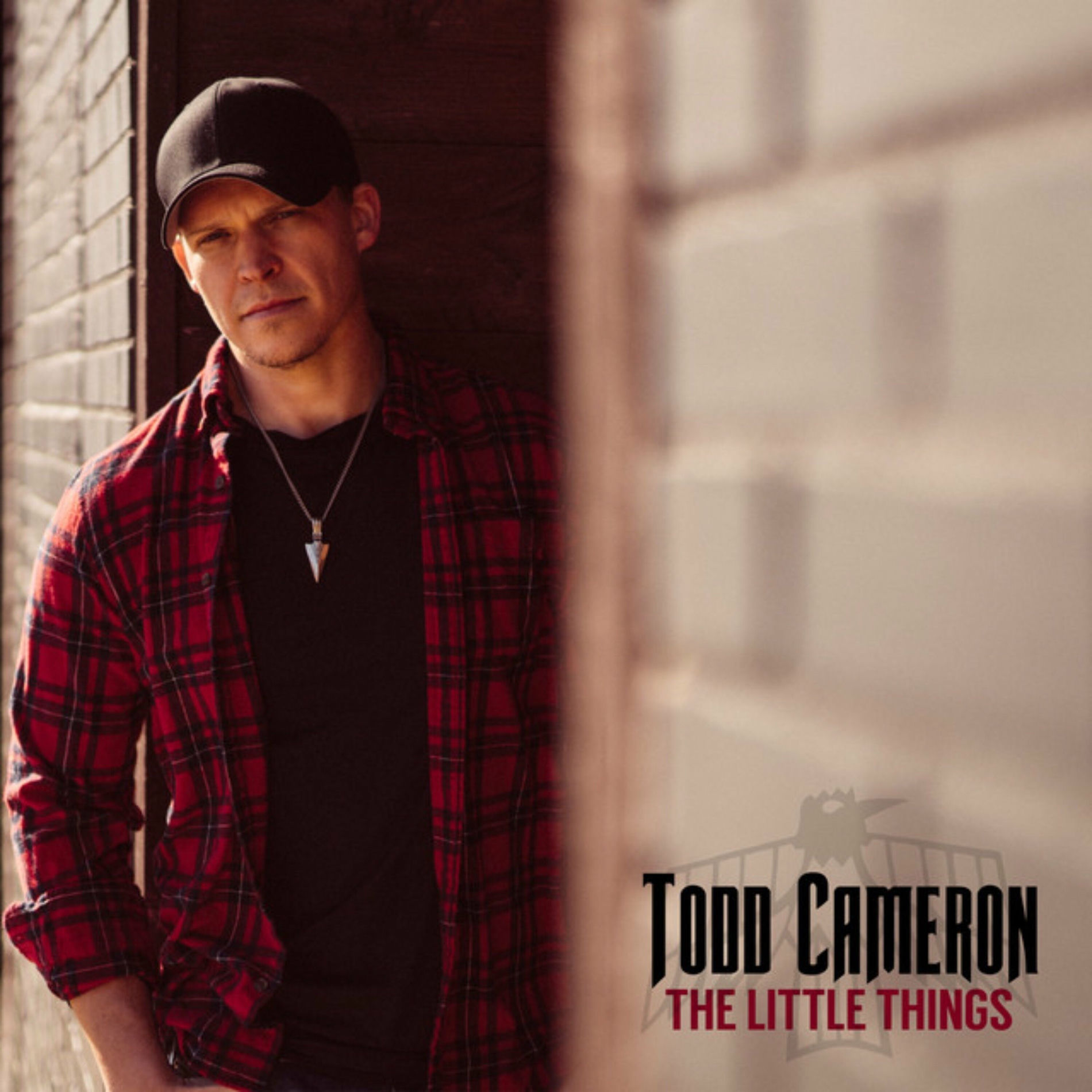 Album cover of The Little Things