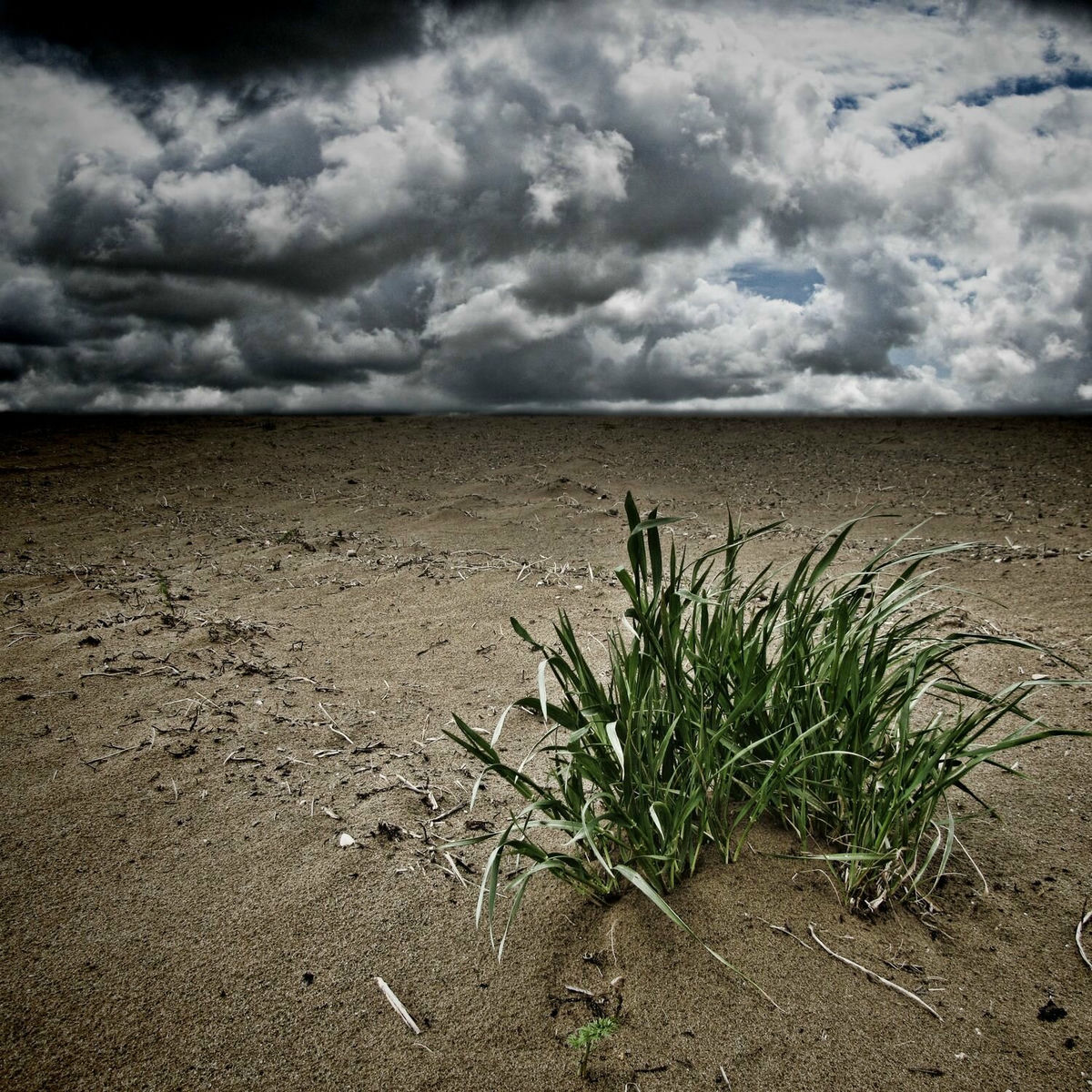 Album cover of Small Axe