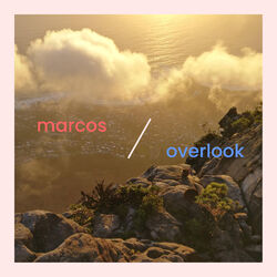 Cover of Overlook