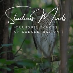 Cover of Harmonic Intellect: Meditative Piano for Studious Minds