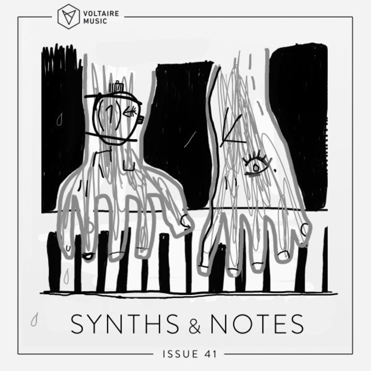 Album cover of Synths and Notes 41