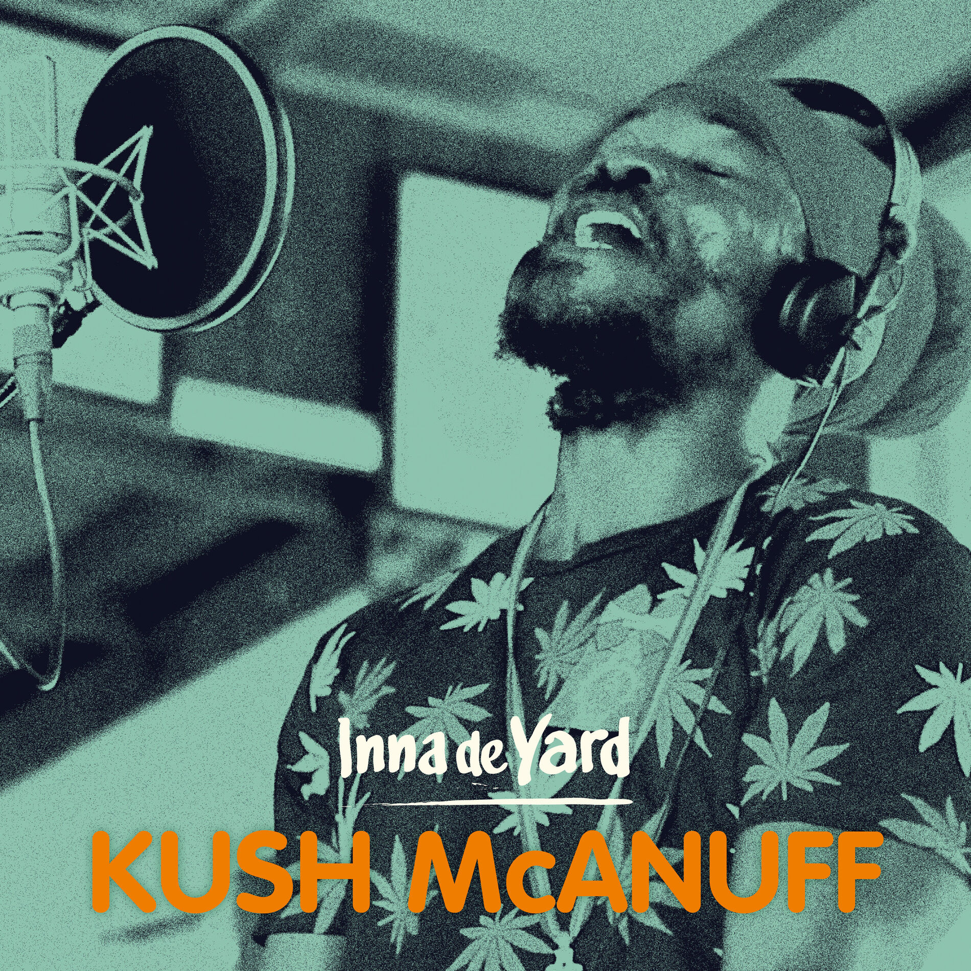 Album cover of Black to I Roots (feat. Kush McAnuff)