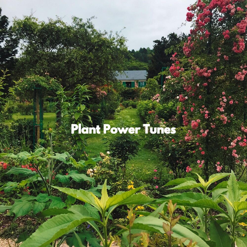 Picture of Plant Power Tunes