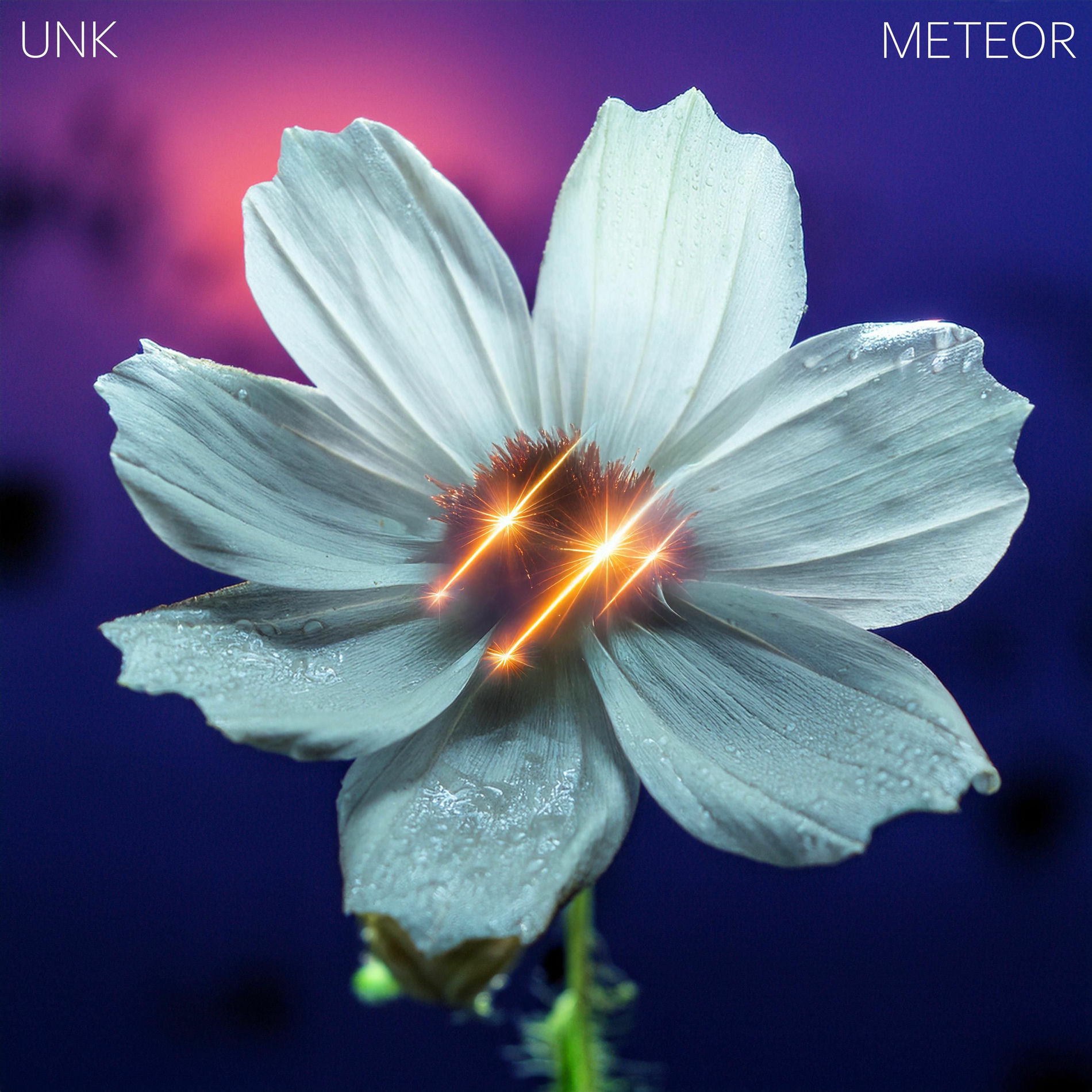 Album cover of Bloom (feat. UNK)