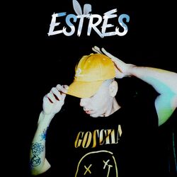 Cover of Estrés