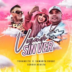 Cover of Viajando Sin Ver