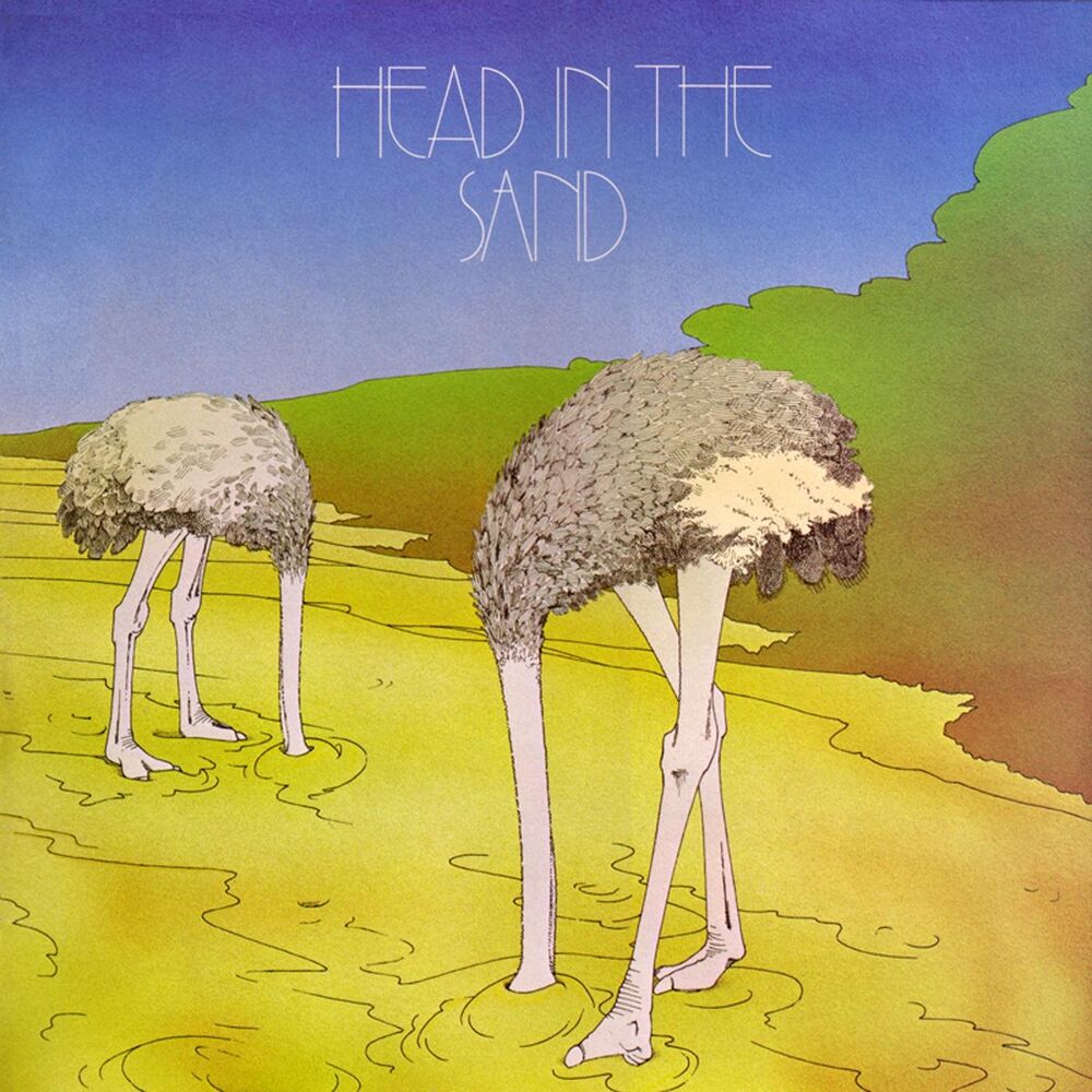 Picture of Head in the Sand