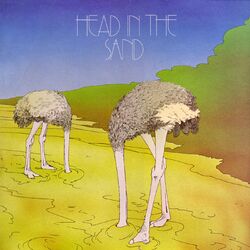 Cover of Head in the Sand