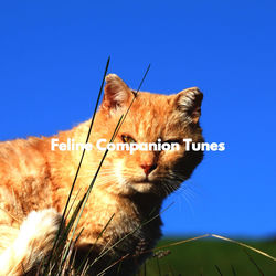Cover of Feline Companion Tunes by undefined