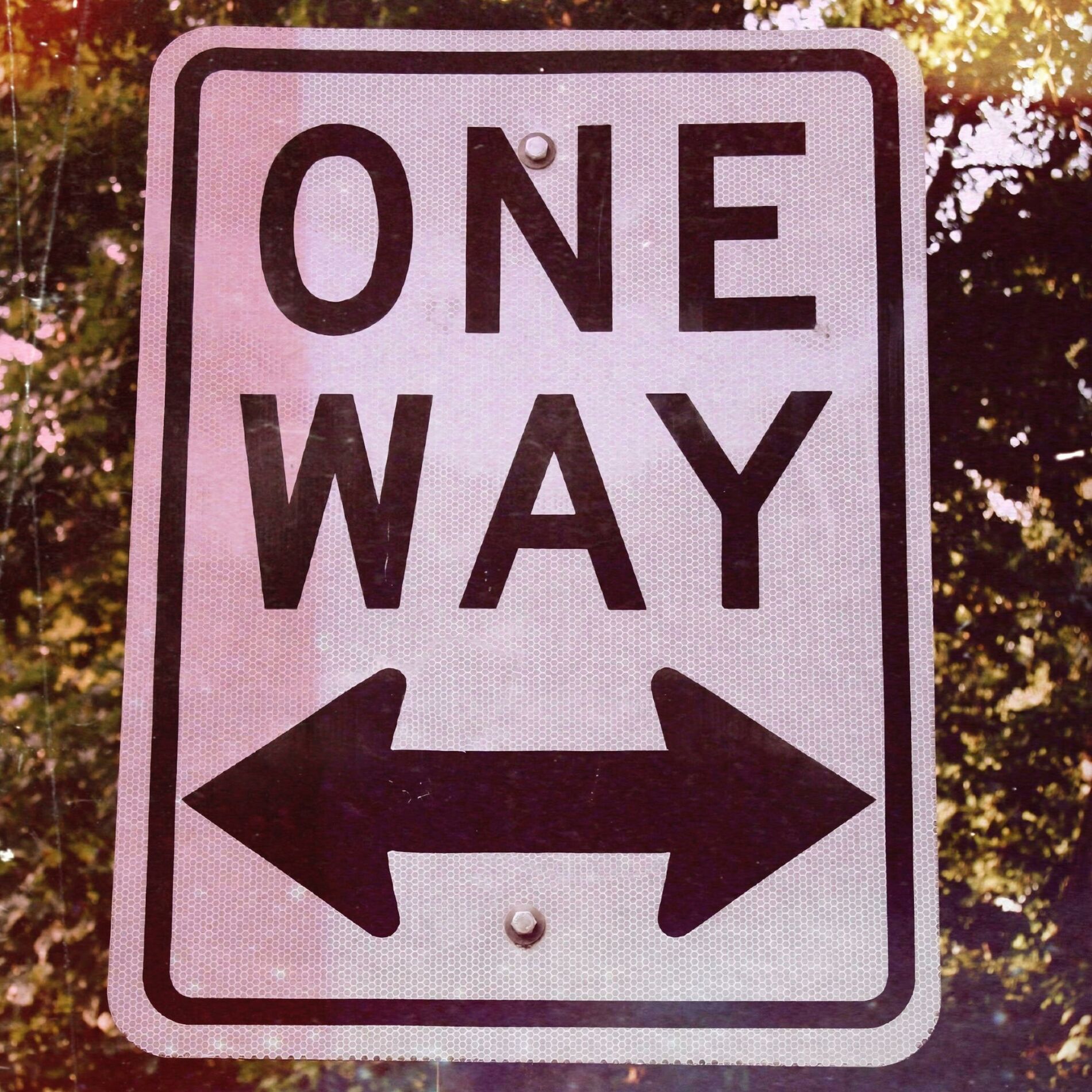 Album cover of One night, one take...