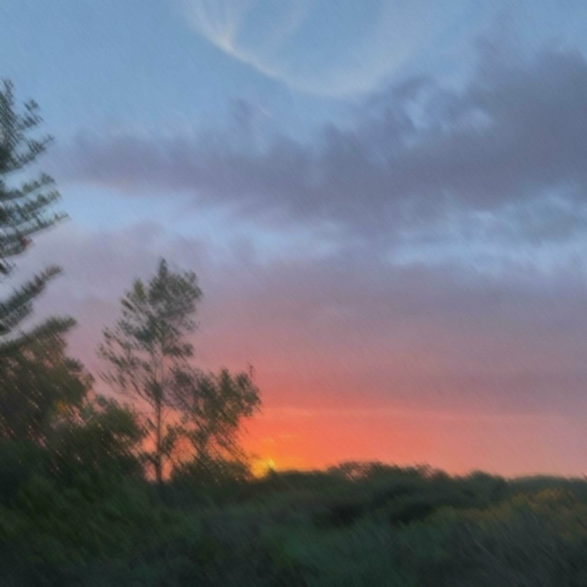 Album cover of Ember (feat. suisside)