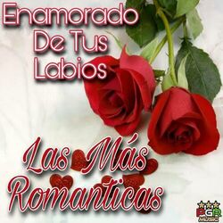 Cover of Enamorado De Tus Labios