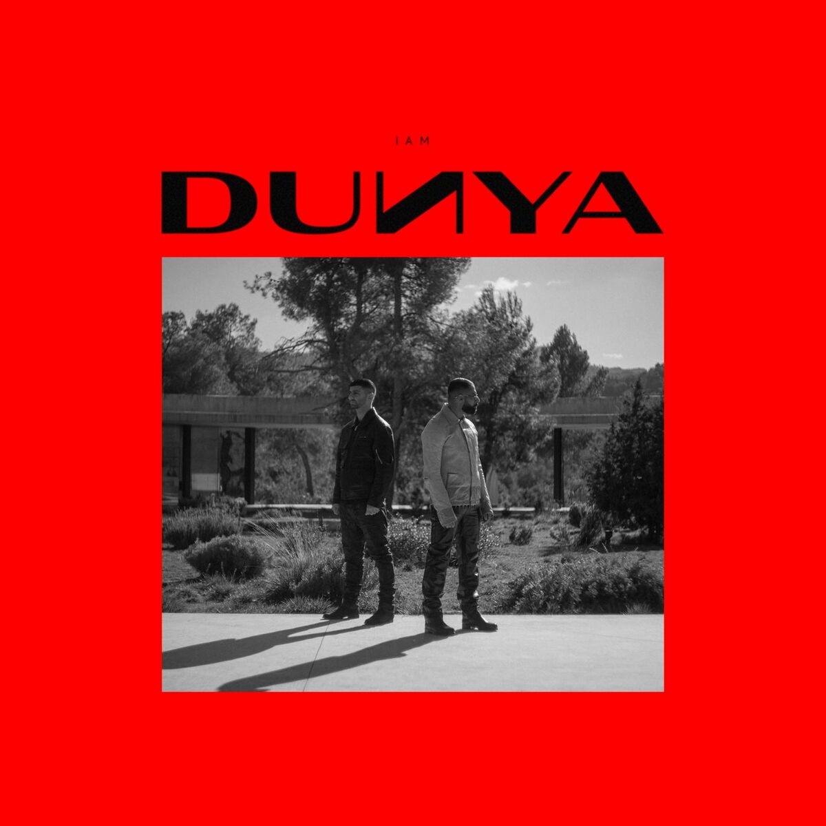 Album cover of DUNYA