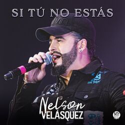 Cover of Si Tú No Estás
