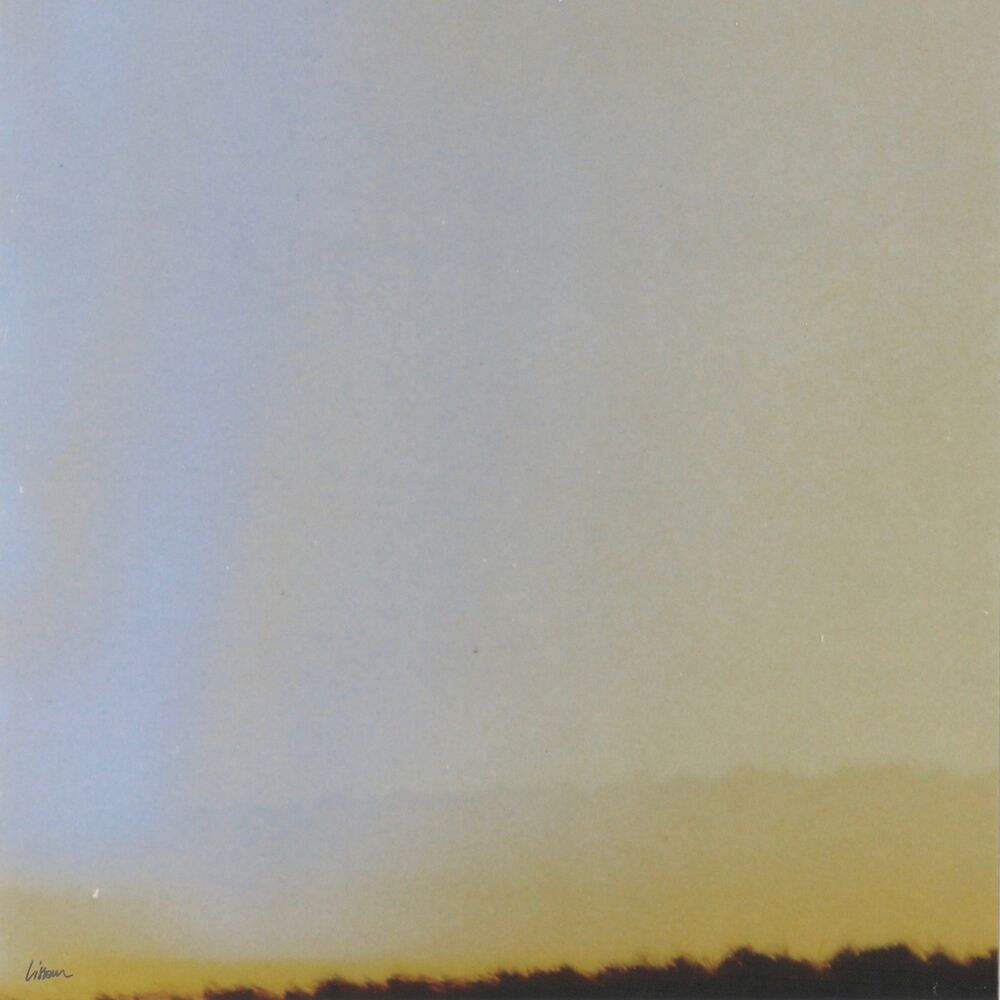 Picture of Lissom