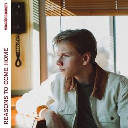 Cover of Reasons To Come Home
