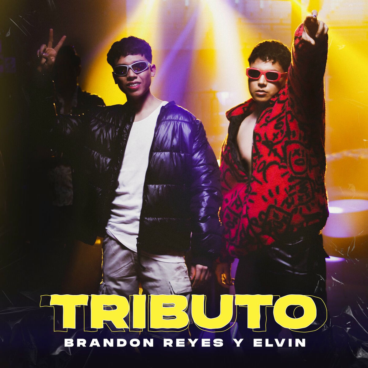 Album cover of Tributo