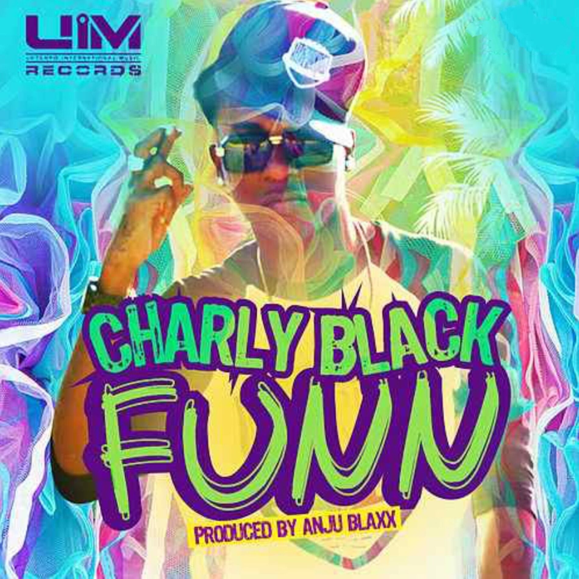 Album cover of Funn