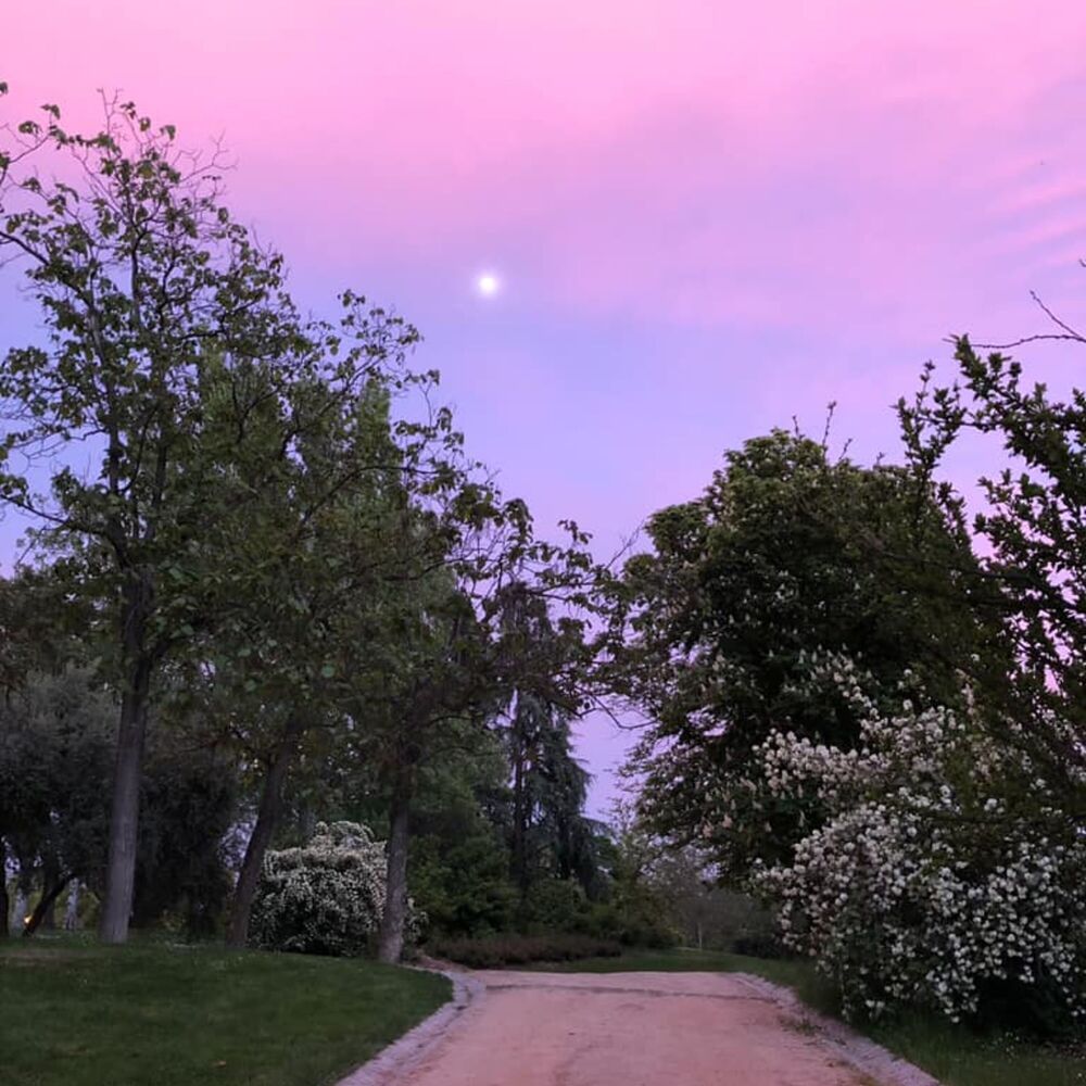 Picture of 50 Pure Songs for Peaceful Sleep