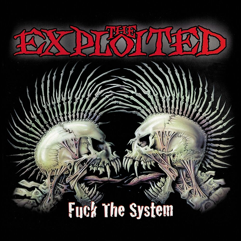 Picture of Fuck the System