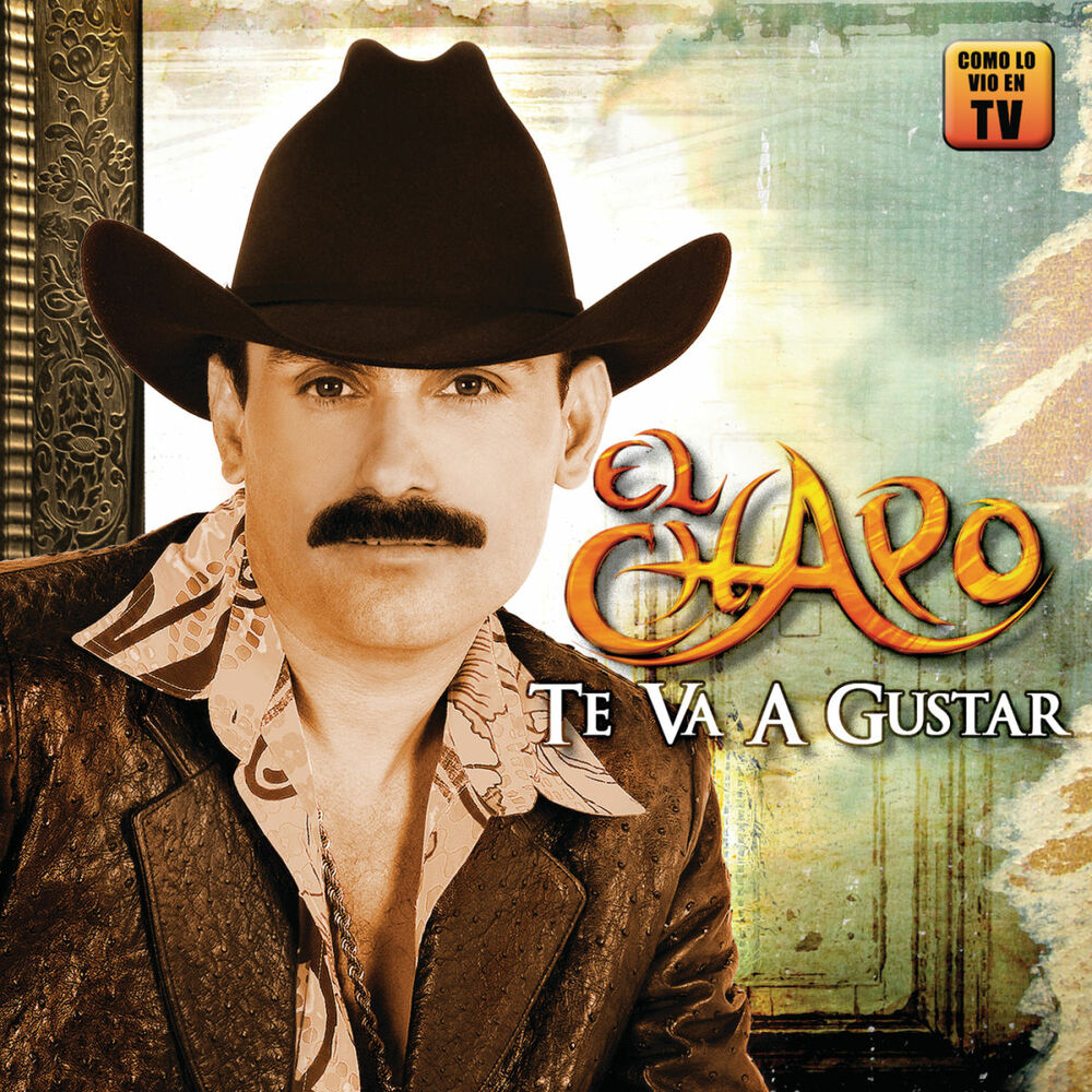 Picture of Te Va A Gustar
