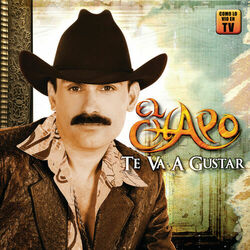 Cover of Te Va A Gustar