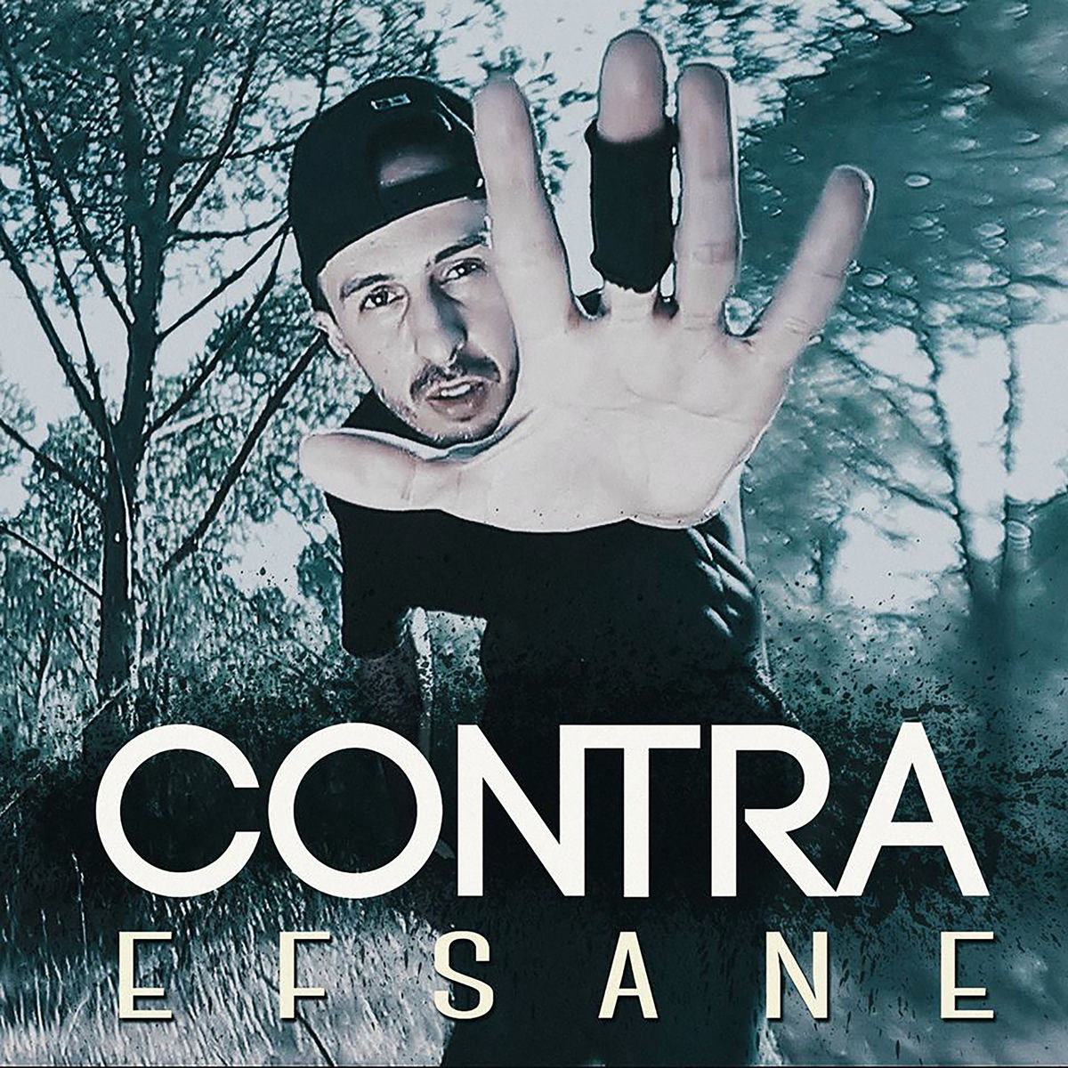 Album cover of Efsane