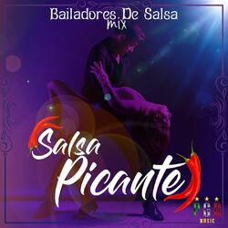 Cover of Bailadores De Salsa Mix
