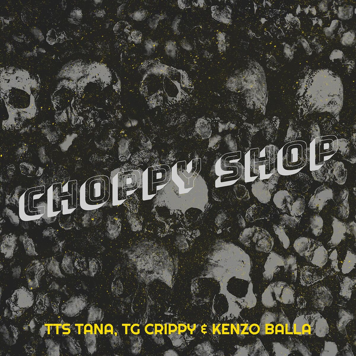 Album cover of Choppy Shop
